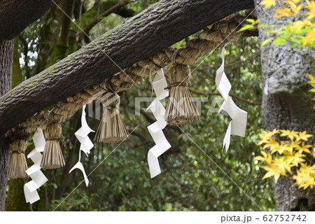 野宮神社　黒木の鳥居 62752742