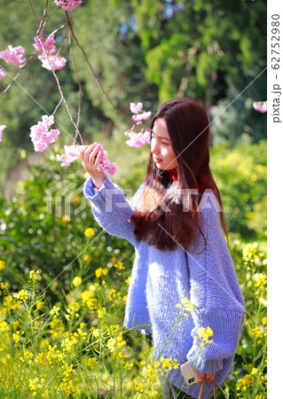 雪割り桜 62752980