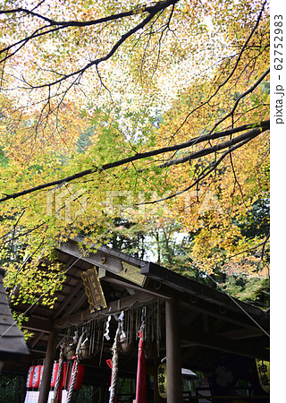 野宮神社　本殿 62752983