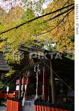 野宮神社 本殿 野宮神社 本殿 62752985