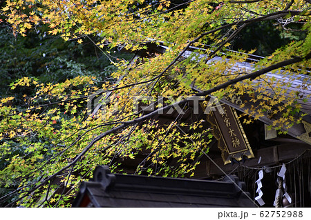 野宮神社 本殿 野宮神社 本殿 62752988