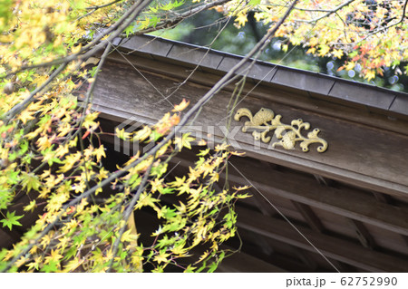 野宮神社 本殿 野宮神社 本殿 62752990