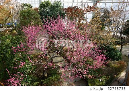 道の駅あきた港 セリオン 道の駅あきた港 セリオン 62753733