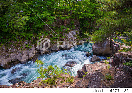 岩手一関の春　新緑の厳美渓 62754482