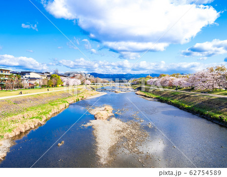 春の京都 鴨川(丸太町橋付近) 春の京都 鴨川(丸太町橋付近) 62754589