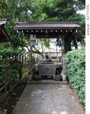 武蔵野八幡宮 武蔵野八幡宮 62755491