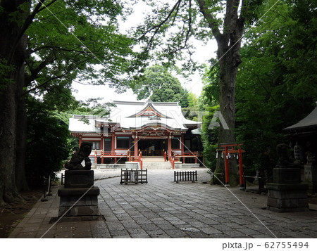 武蔵野八幡宮 武蔵野八幡宮 62755494