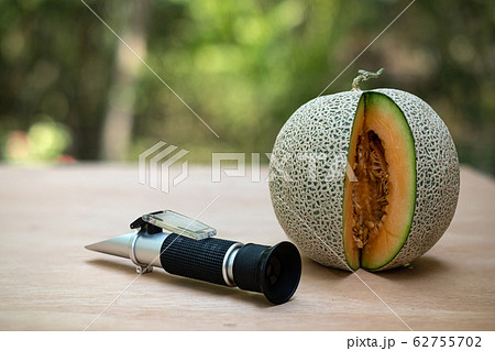 Brix refractometer sweet test tool device for measuring sugar in organic melon, Fresh yellow melons 62755702
