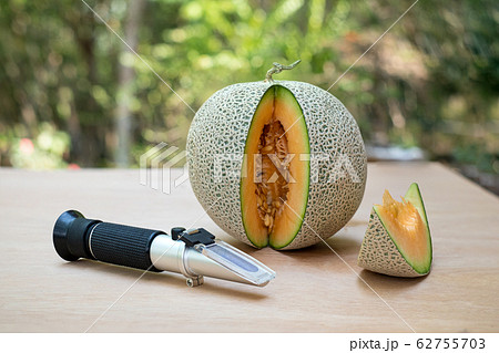 Brix refractometer sweet test tool device for measuring sugar in organic melon, Fresh yellow melons 62755703