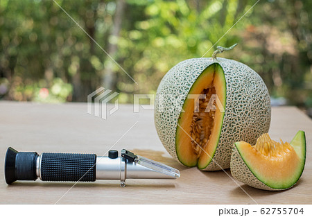 Brix refractometer sweet test tool device for measuring sugar in organic melon, Fresh yellow melons 62755704