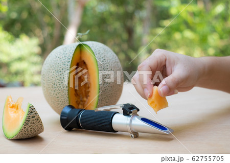 Brix refractometer sweet test tool device for measuring sugar in organic melon, Fresh yellow melons 62755705