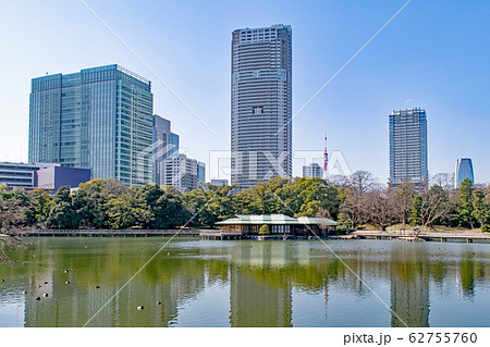 東京都　浜離宮恩賜庭園　大泉水とビル群 62755760