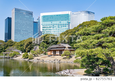 東京都 浜離宮恩賜庭園 大泉水 松の御茶屋 東京都 浜離宮恩賜庭園 大泉水 松の御茶屋 62755761