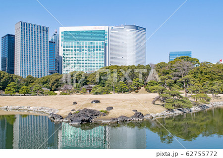 東京都 浜離宮恩賜庭園 横堀とビル群 東京都 浜離宮恩賜庭園 横堀とビル群 62755772