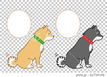 Shiba Inu Shiba Inu 62756199