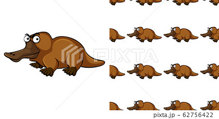 Seamless background design with cute platypus Seamless background design with cute platypus 62756422