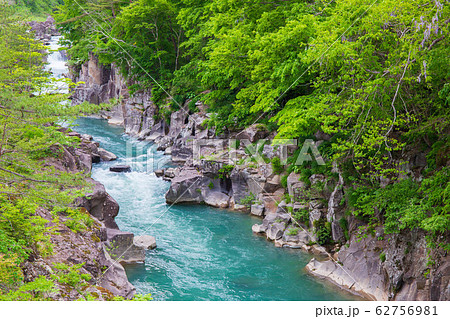 岩手一関の春 新緑の厳美渓 岩手一関の春 新緑の厳美渓 62756981
