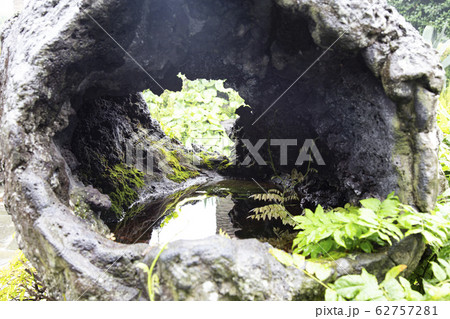 自然 背景 済州島 62757281