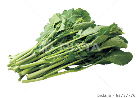 かき菜04（パス付） 62757776