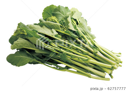 かき菜06(パス付) かき菜06(パス付) 62757777