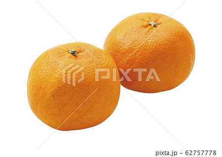 甘平みかん01（パス付） 62757778