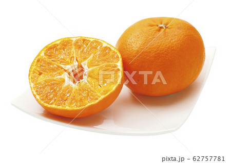 甘平みかん04（パス付） 62757781