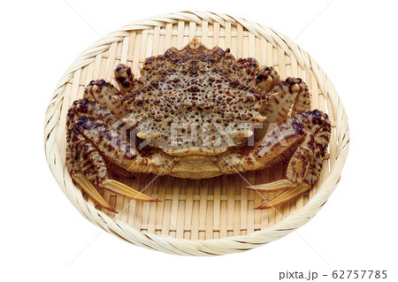 クリガニ02(パス付) クリガニ02(パス付) 62757785