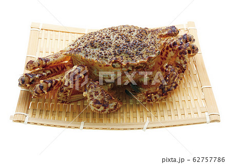 クリガニ03(パス付) クリガニ03(パス付) 62757786