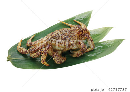 クリガニ04(パス付) クリガニ04(パス付) 62757787