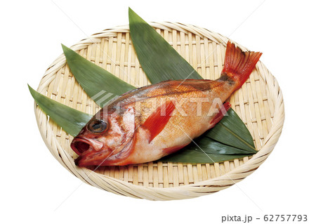 メバル02(パス付) メバル02(パス付) 62757793