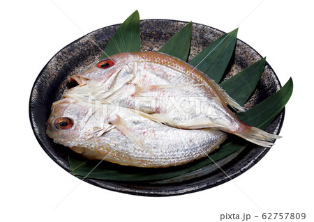 レンコ鯛開き04（パス付） 62757809