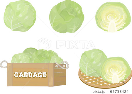キャベツ 木箱 カゴ盛り セットのイラスト素材
