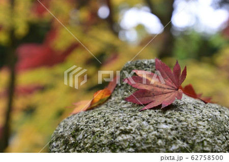 護法堂弁財天 62758500