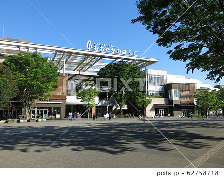 ケヤキの新緑が美しい流山おおたかの森駅南口都市広場 62758718