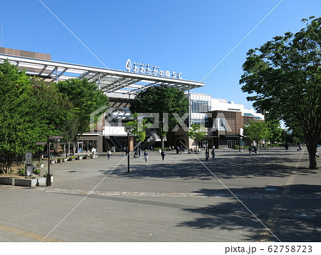 ケヤキの新緑が美しい流山おおたかの森駅南口都市広場 ケヤキの新緑が美しい流山おおたかの森駅南口都市広場 62758723