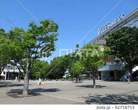 ケヤキの新緑が美しい流山おおたかの森駅南口都市広場 ケヤキの新緑が美しい流山おおたかの森駅南口都市広場 62758753