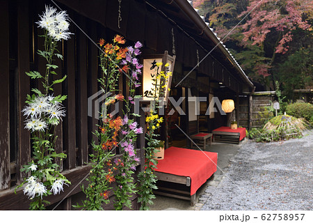 平野屋 嵯峨菊 平野屋 嵯峨菊 62758957