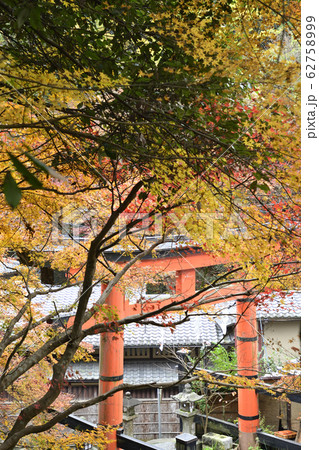 愛宕神社　一の鳥居 62758999