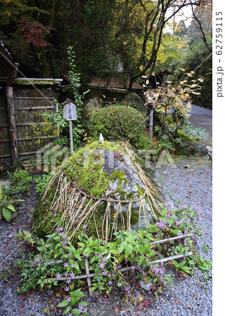 平野屋 平野屋 62759115