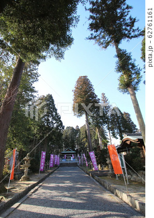 信楽 信楽 62761161