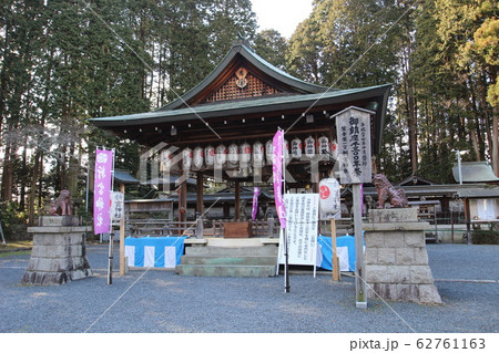 信楽 信楽 62761163