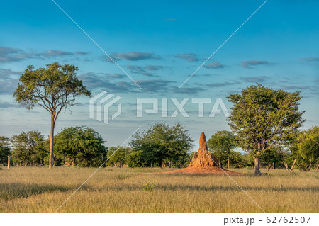 African landscape, Namibia, Africa wilderness 62762507