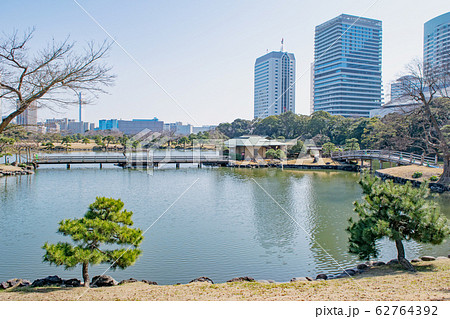 東京都 浜離宮恩賜庭園 大泉水とビル群 東京都 浜離宮恩賜庭園 大泉水とビル群 62764392