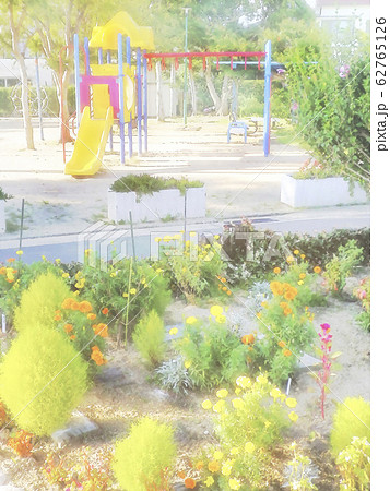 午後の公園 62765126