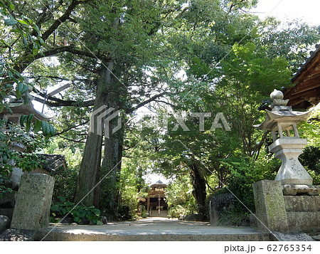 四国八十八箇所霊場 第46番札所 浄瑠璃寺 四国八十八箇所霊場 第46番札所 浄瑠璃寺 62765354