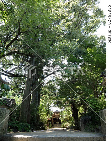 四国八十八箇所霊場　第46番札所　浄瑠璃寺 62765355