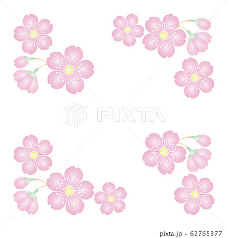 ストックイラスト 桜の花のイラストを描きました イラストレーターみやもとかずみのイラスト素材 ๑ ๑
