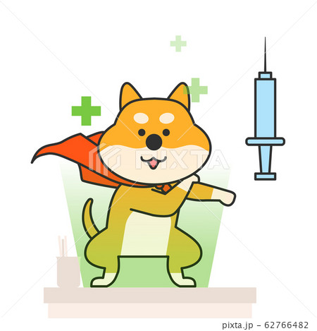 Cute and lovely animals, pets icon illustration 037 62766482