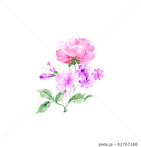 透明水彩 水彩画 花のイラスト素材