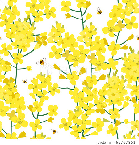 Seamless rape plant pattern, vector flower background. Texture for print, spring summer fashion, textile design, fabric, honey shop website, wallpaper 62767851
